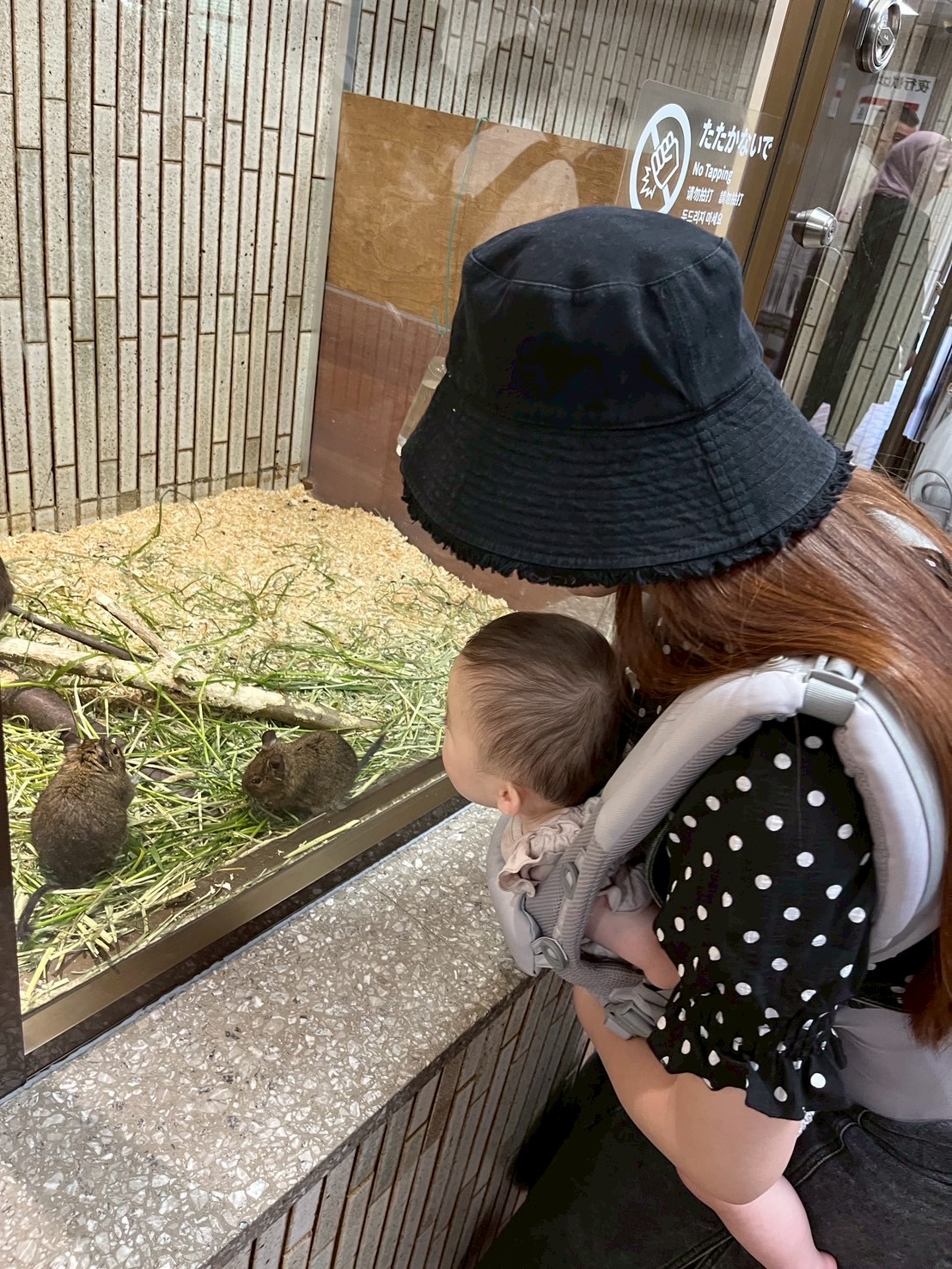 じゅじゅママ
